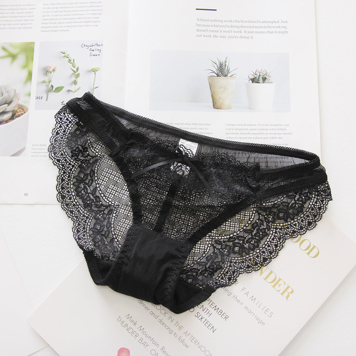 One lace brief underpants