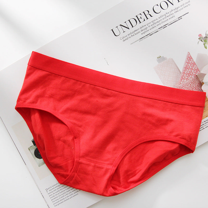 One cotton inner brief